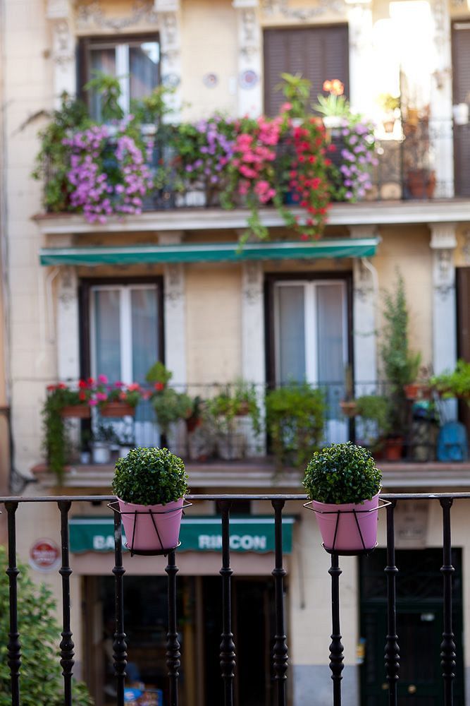 Thc Latina Hostel Madrid Ngoại thất bức ảnh